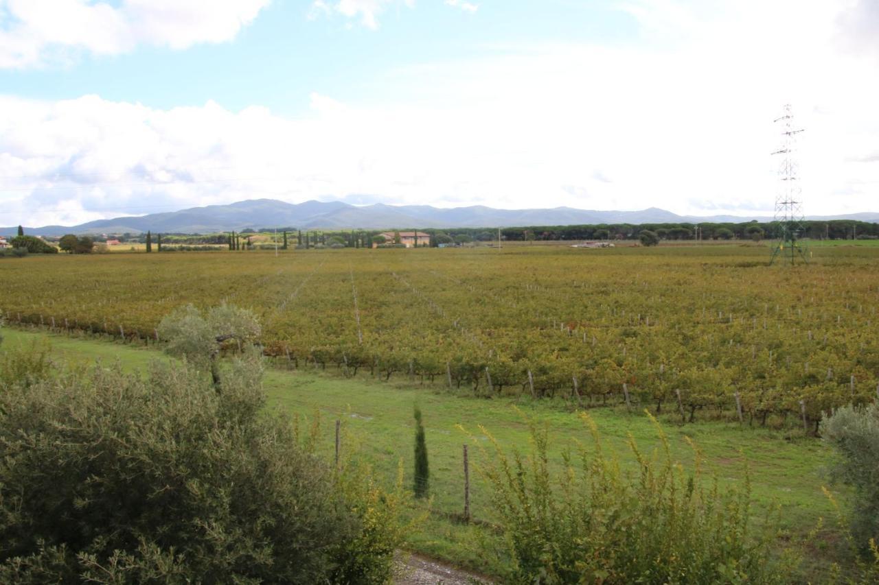 Podere Campo Alle Serpi ビッボーナ エクステリア 写真