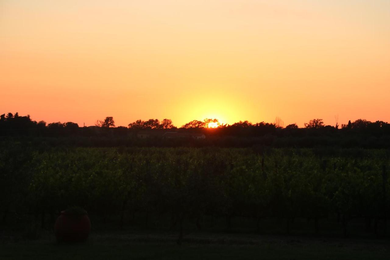 Podere Campo Alle Serpi ビッボーナ エクステリア 写真