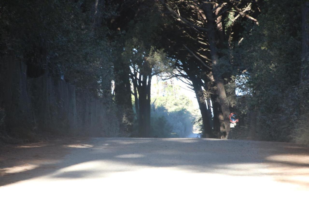 Podere Campo Alle Serpi ビッボーナ エクステリア 写真