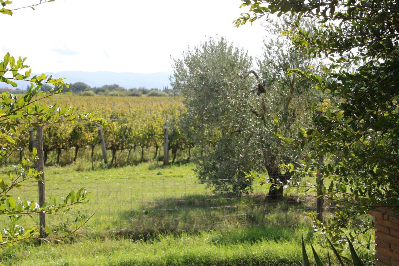 Podere Campo Alle Serpi ビッボーナ エクステリア 写真