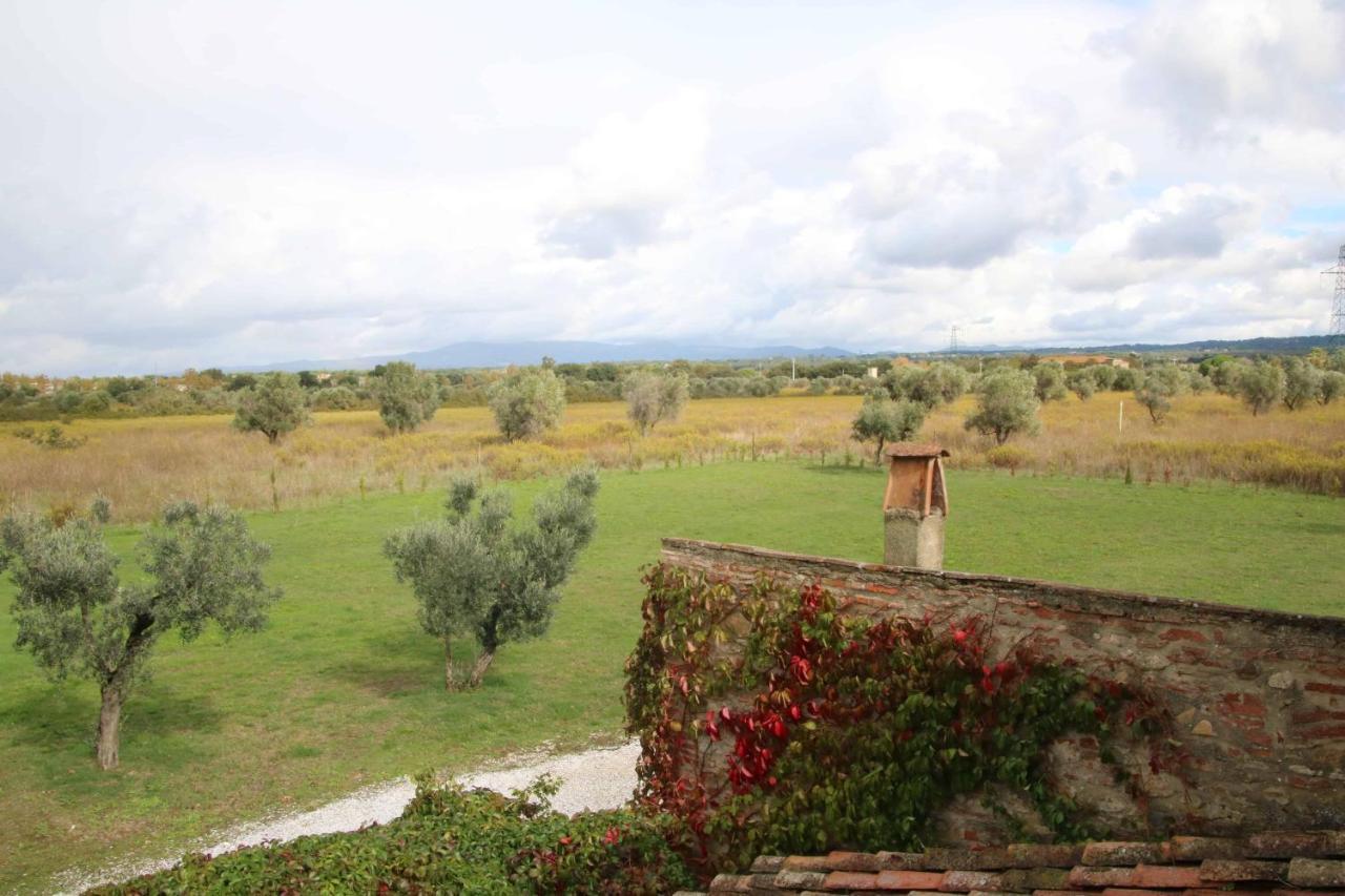 Podere Campo Alle Serpi ビッボーナ エクステリア 写真