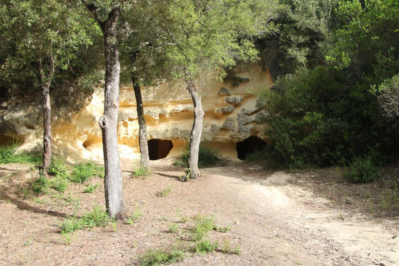 Podere Campo Alle Serpi ビッボーナ エクステリア 写真