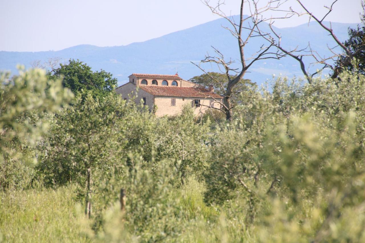 Podere Campo Alle Serpi ビッボーナ エクステリア 写真