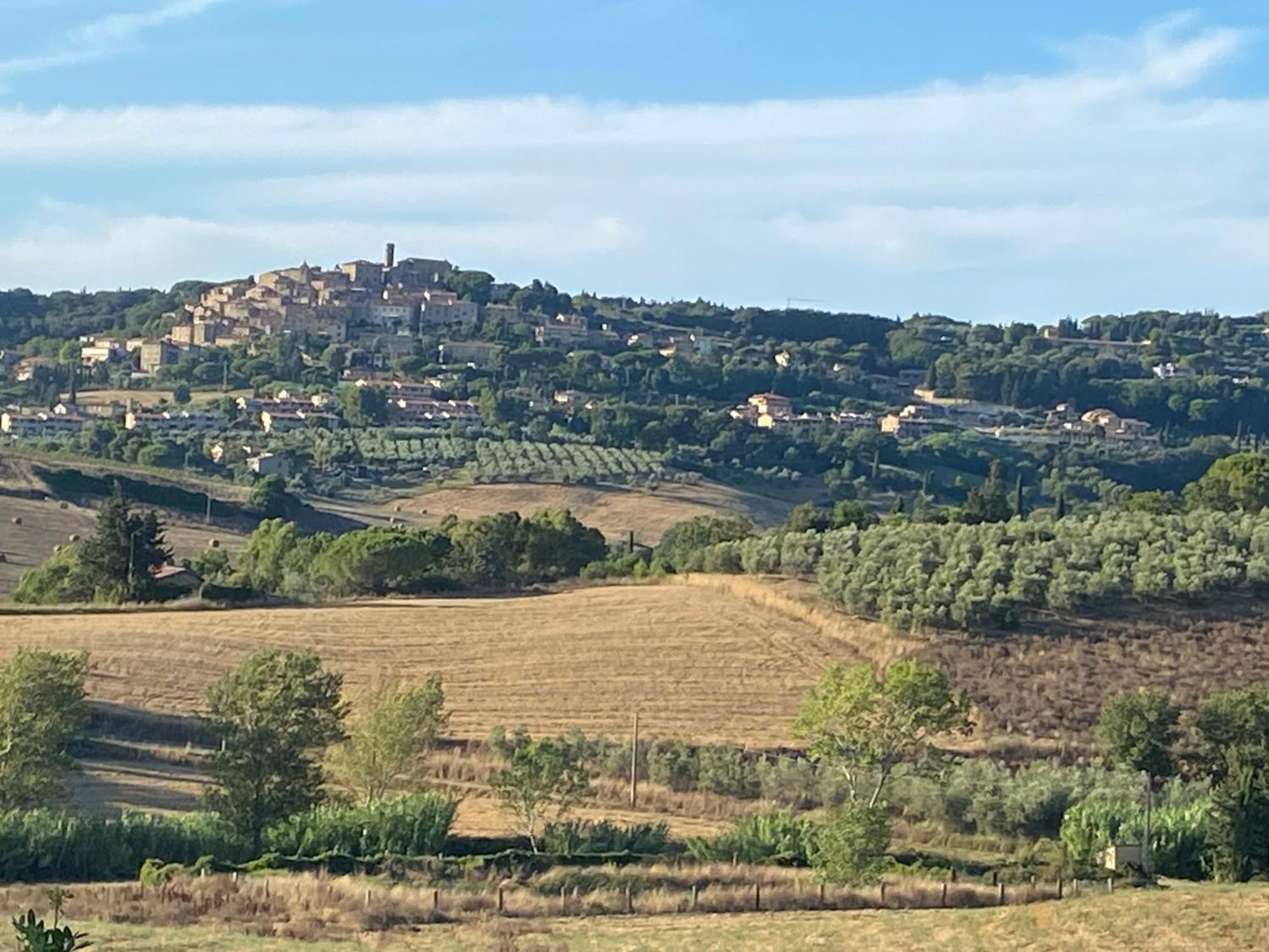 Podere Campo Alle Serpi ビッボーナ エクステリア 写真