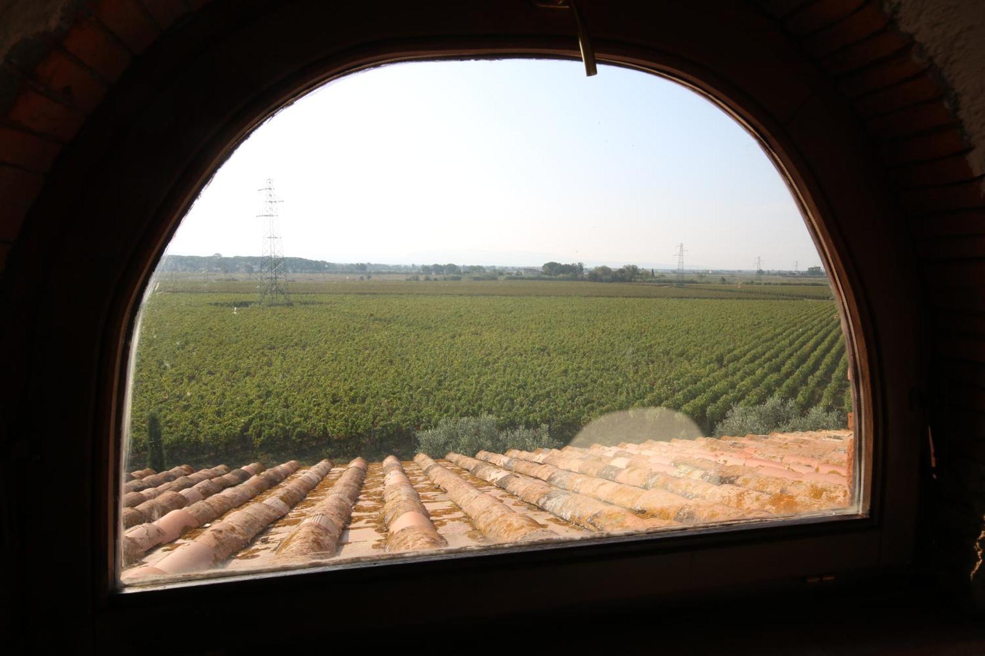 Podere Campo Alle Serpi ビッボーナ エクステリア 写真