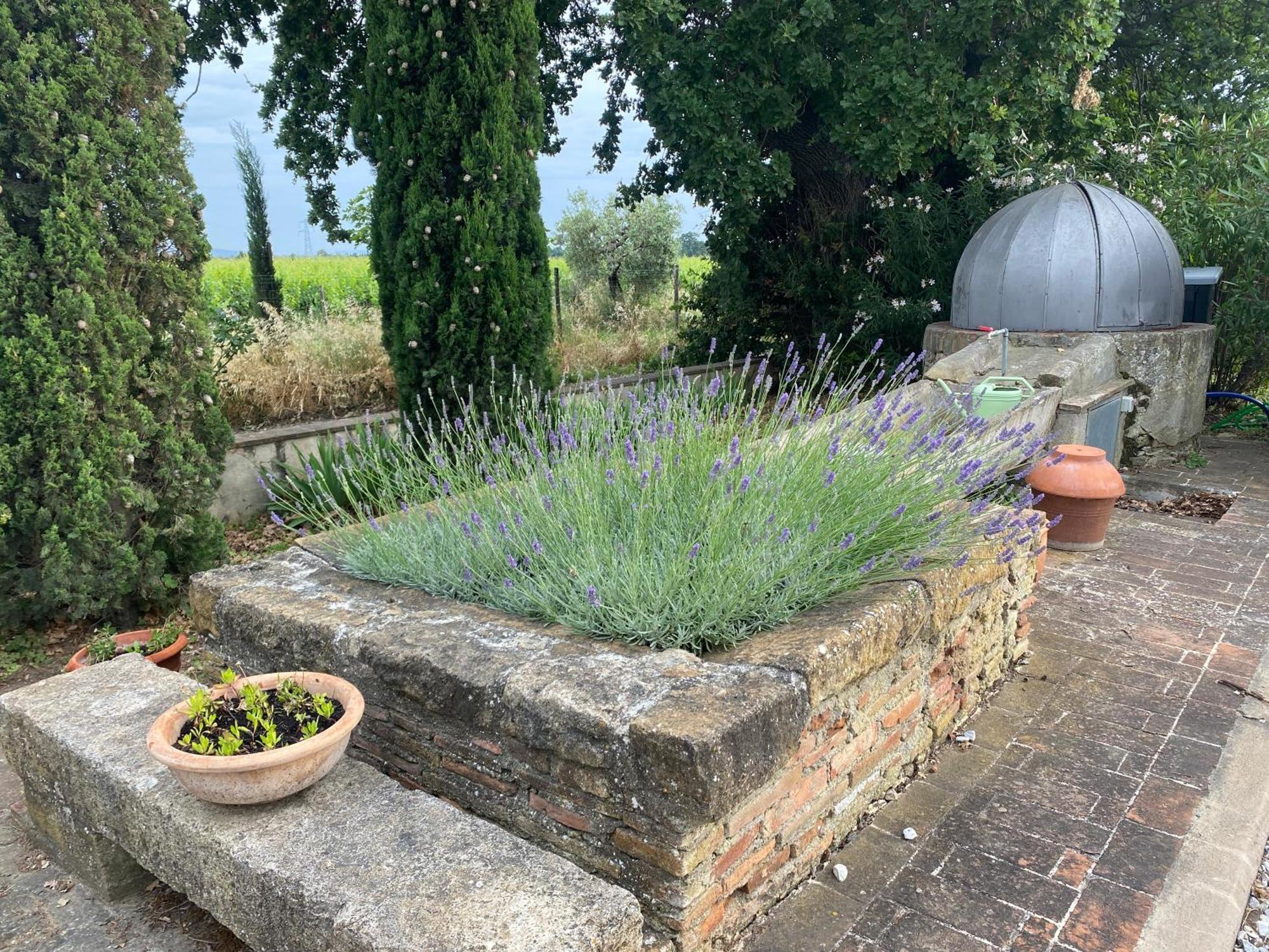 Podere Campo Alle Serpi ビッボーナ エクステリア 写真