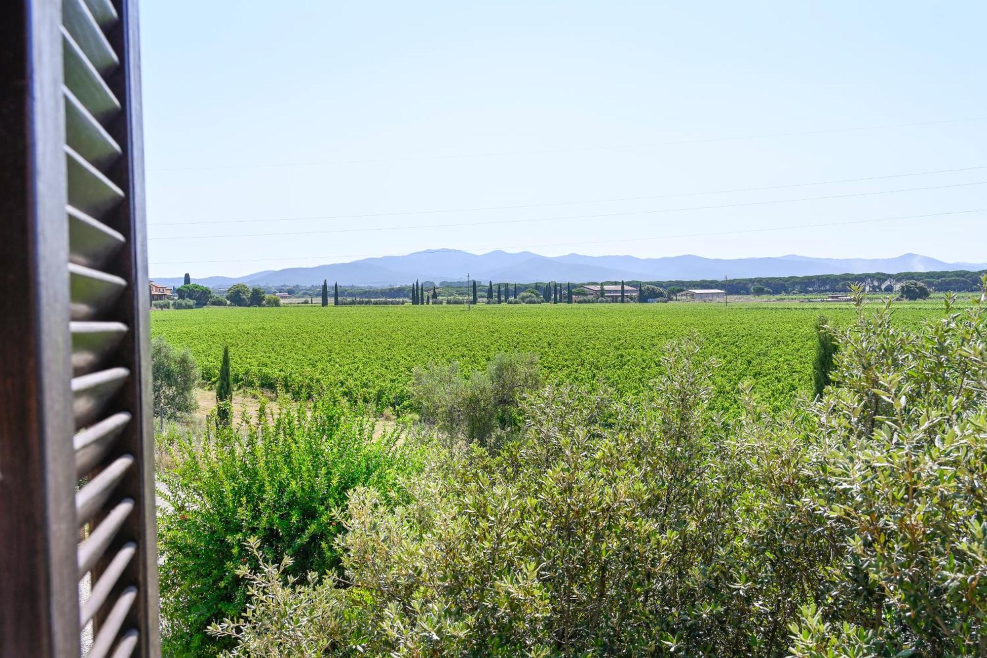 Podere Campo Alle Serpi ビッボーナ 部屋 写真