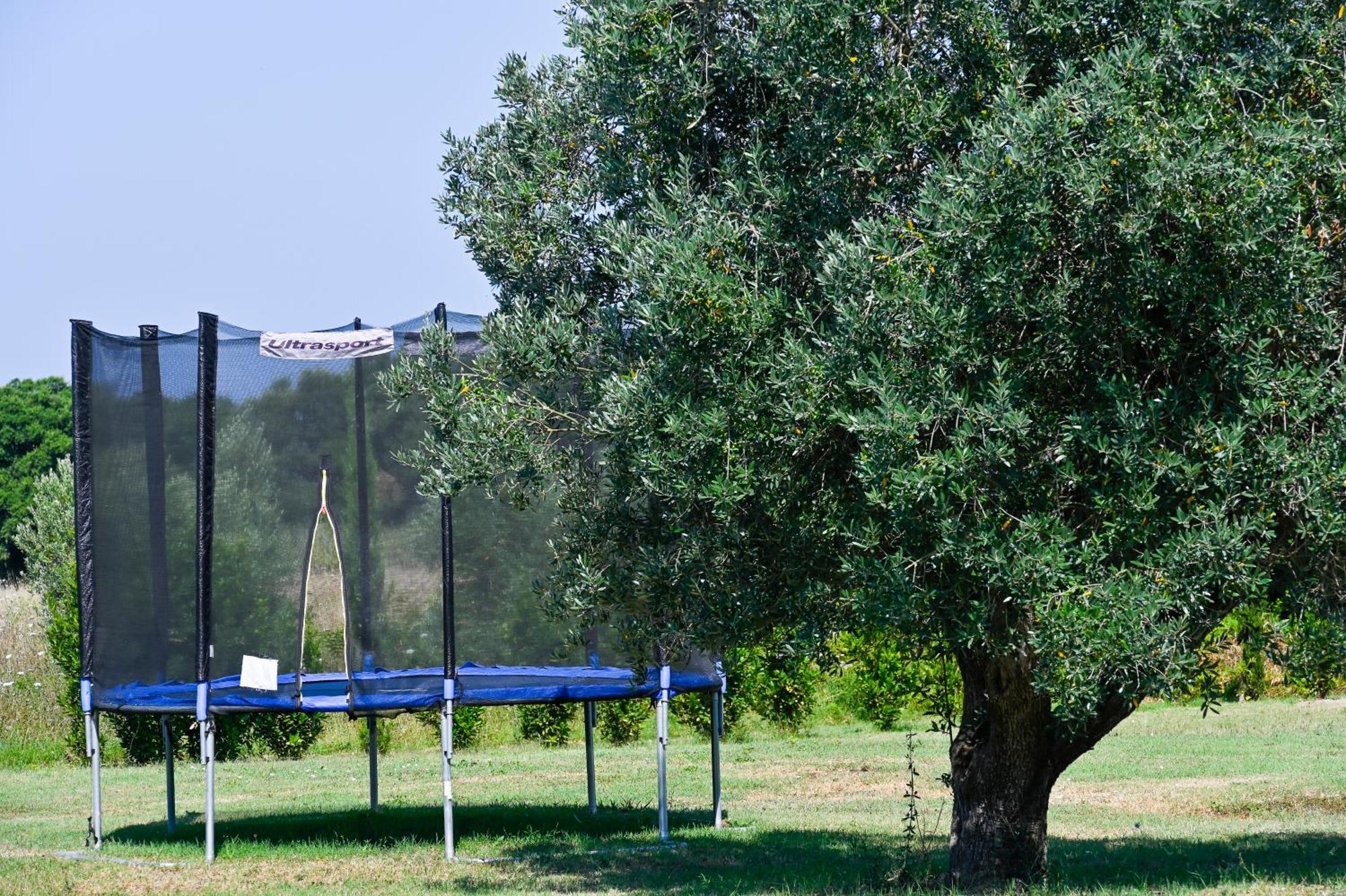 Podere Campo Alle Serpi ビッボーナ エクステリア 写真